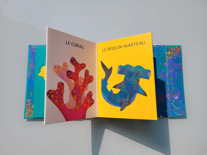 Superbe livre accordéon Amaterra 🪸 Sous la Mer 🐡 - photo numéro 9