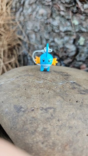Super petite figurine Pokemon Nintendo porte clé Gobou