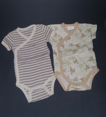 2 bodys T.1M