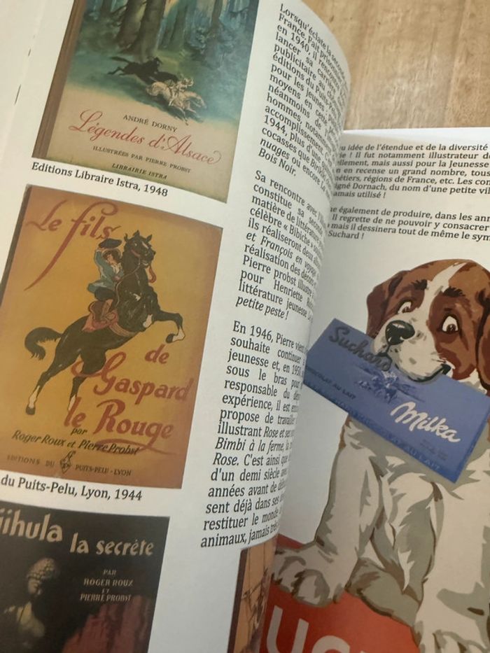 RARE Catalogue exposition Caroline L’univers de Pierre Probst livre Versailles musée - photo numéro 8