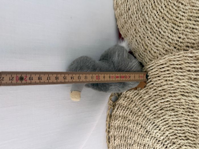 Peluche Oiseau Dodo gris Île Maurice Mauritius neuf Wally Plush Toys - photo numéro 2