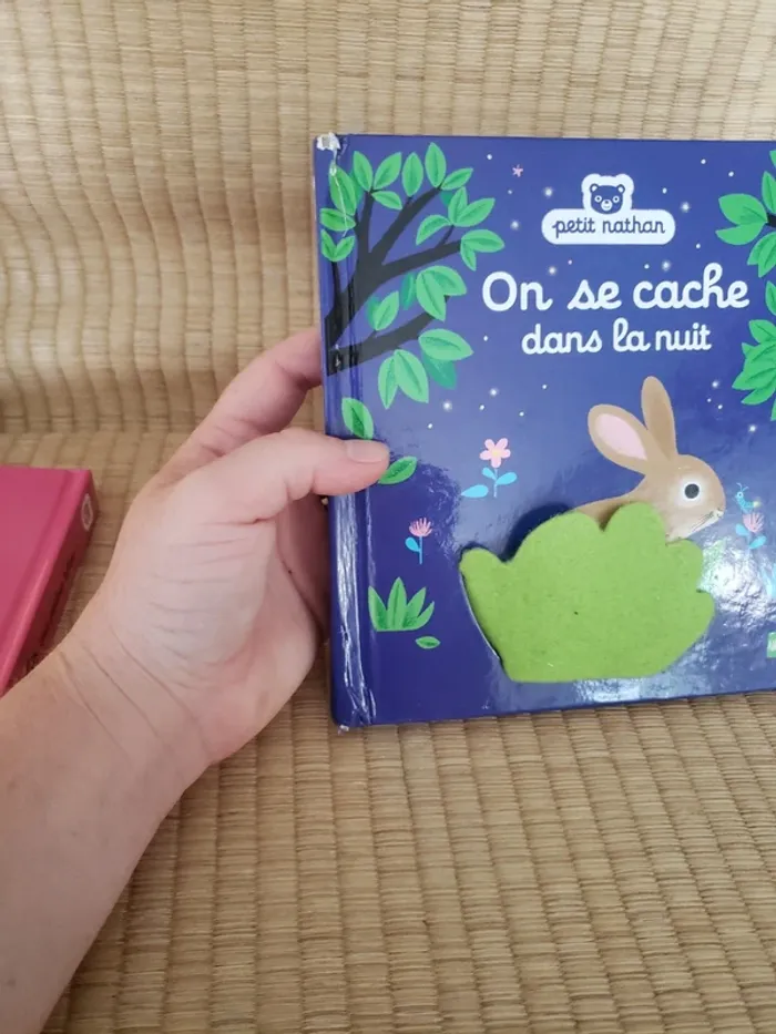 Lot de 5 livres bébés petit Nathan - photo numéro 7