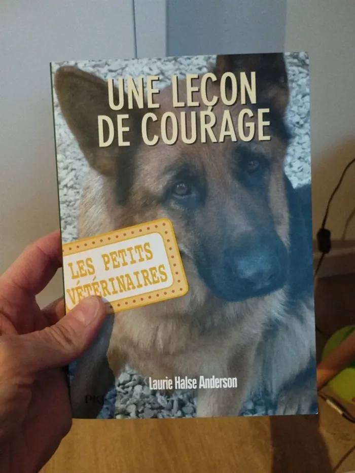 Livre une leçon de courage collection Les petits vétérinaires