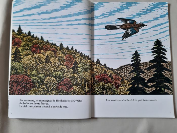 livre enfant - L'automne de l'Ours brun - Keizaburo Tejima - Kilimax de l'école des loisirs - photo numéro 4