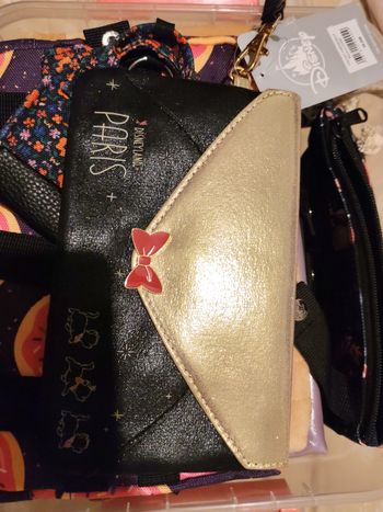 Pochette Disneyland paris les Aristochats 