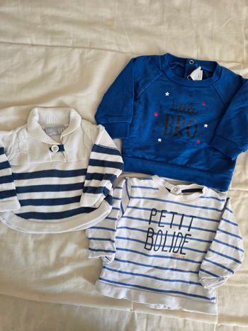 Pulls 3 mois