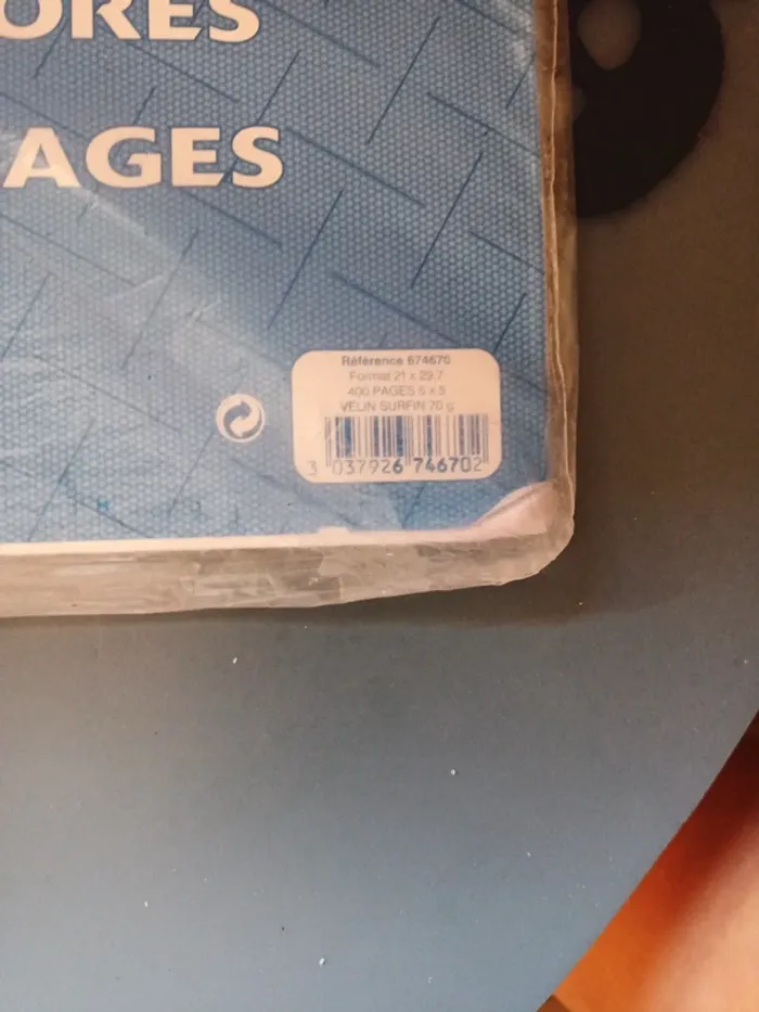 Feuilles simples petits carreaux - photo numéro 4