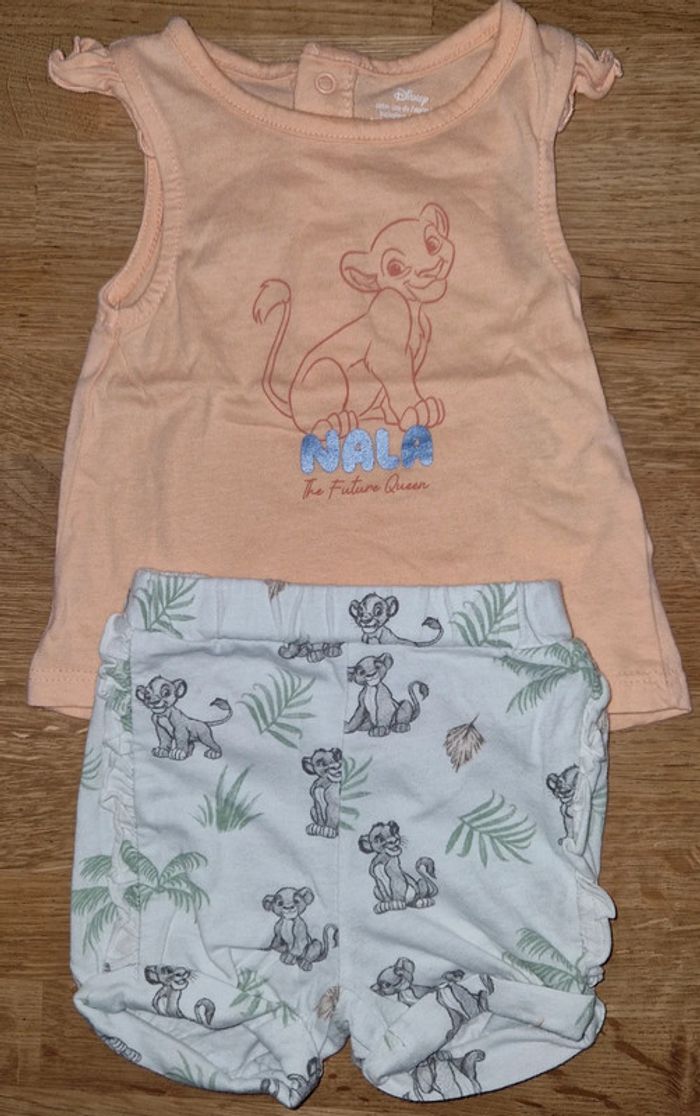 Ensemble Nala