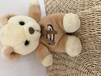 doudou ours bout'chou