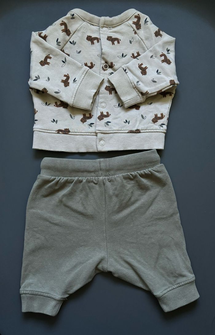 Ensemble bébé pantalon pull molletonné jungle tigre La Redoute 1 mois - photo numéro 2