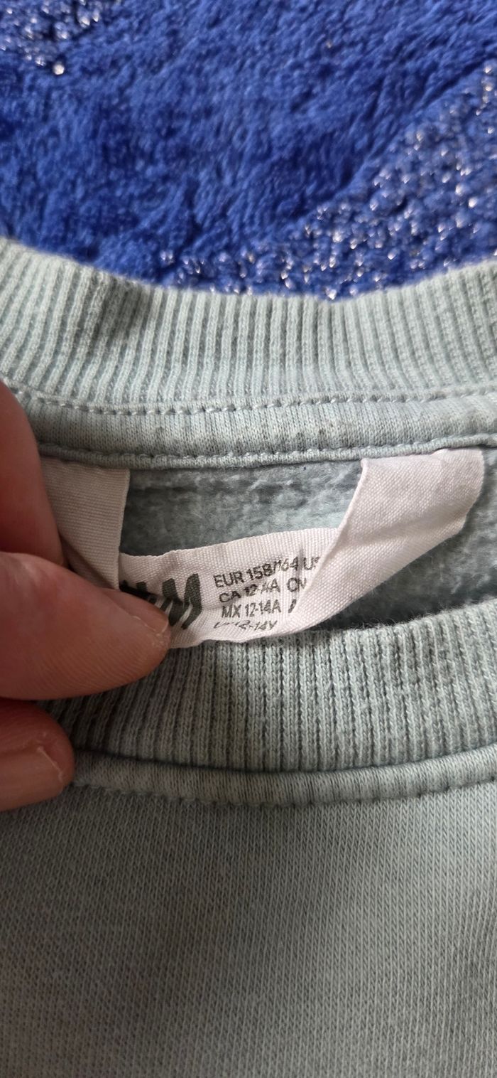 Pull koala - photo numéro 3