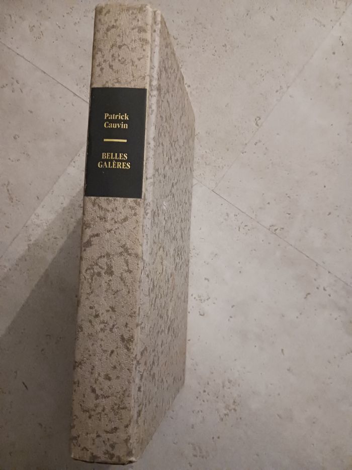 livre belles galères Patrick Cauvin