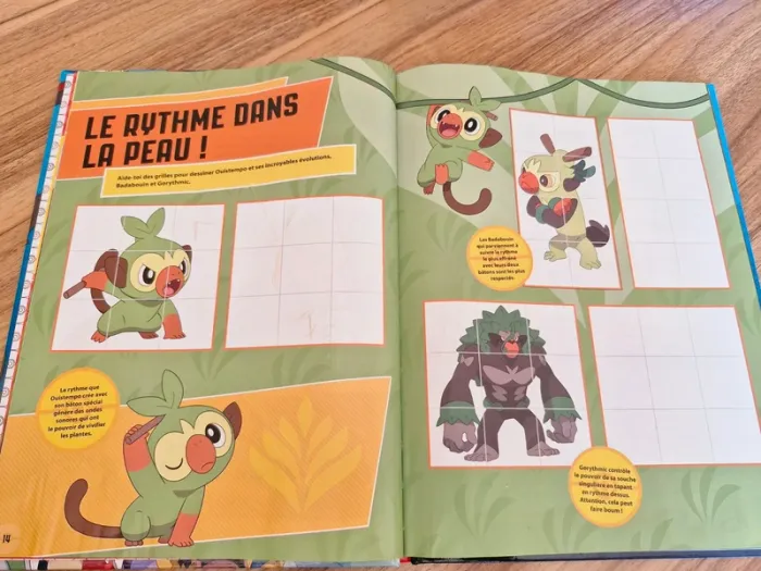Livre Pokémon - photo numéro 5
