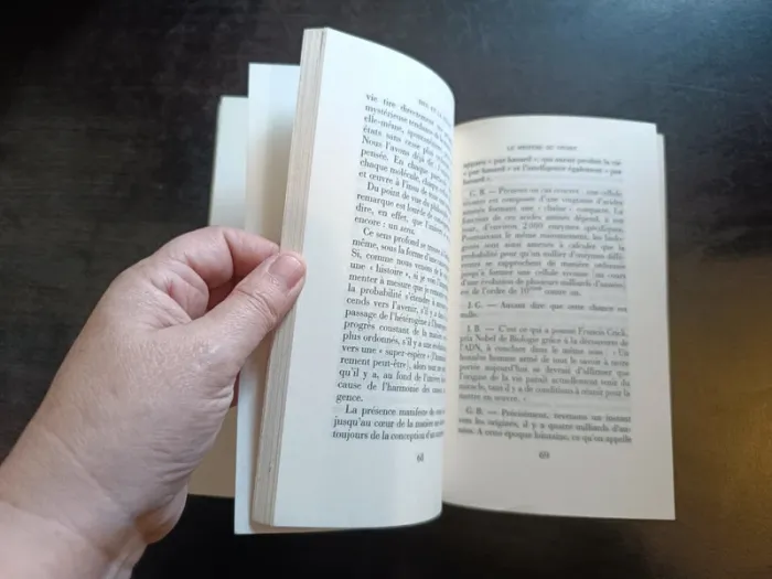 Livre DIEU ET LA SCIENCE - Jean Guitton, Grichka Bogdanov, Igor Bogdanov - photo numéro 4