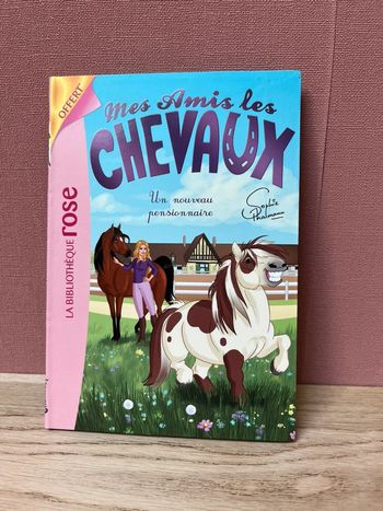 Livre la bibliothèque rose Mes amis les cheveux