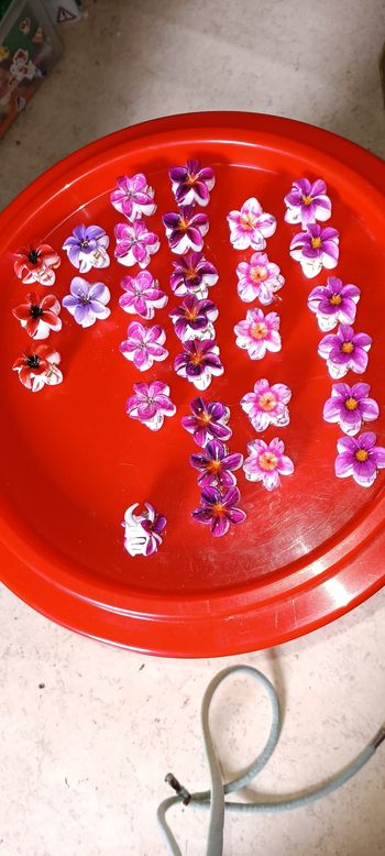 Petites Pinces fleurs prix pour 2 pinces
