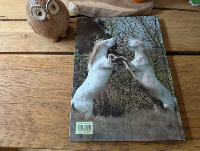 Connaître le cheval 🐴🐎 - photo numéro 2