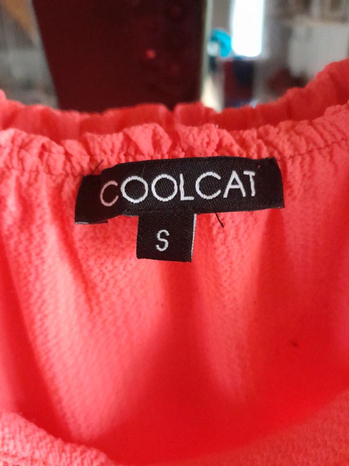 Top cool cats - photo numéro 3