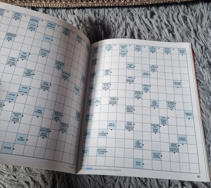 Livre de jeu fléchés (novice) niveau 2 (83grilles) - photo numéro 2