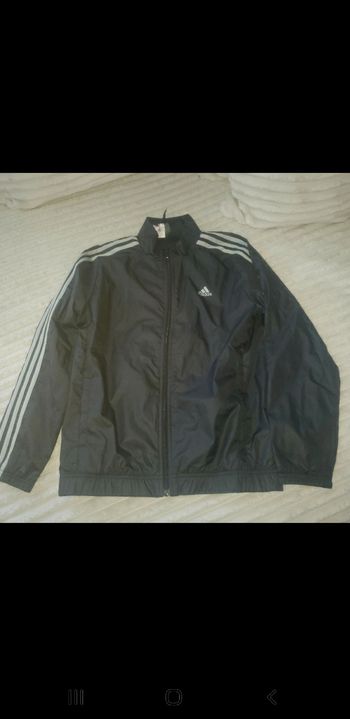 Veste adidas
