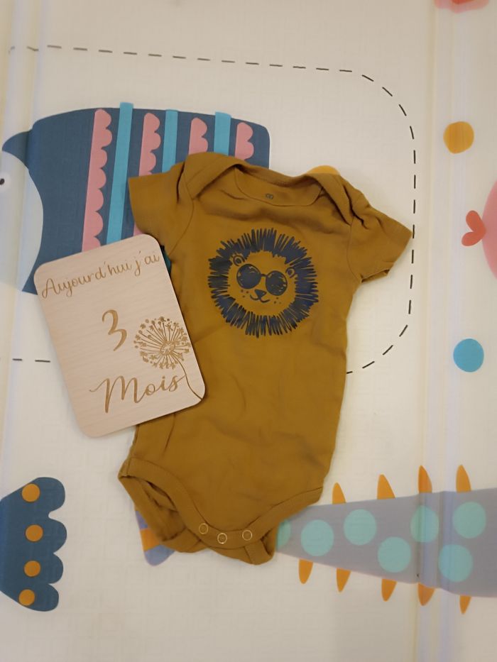 Lot de 14 bodies taille 3 mois - photo numéro 2