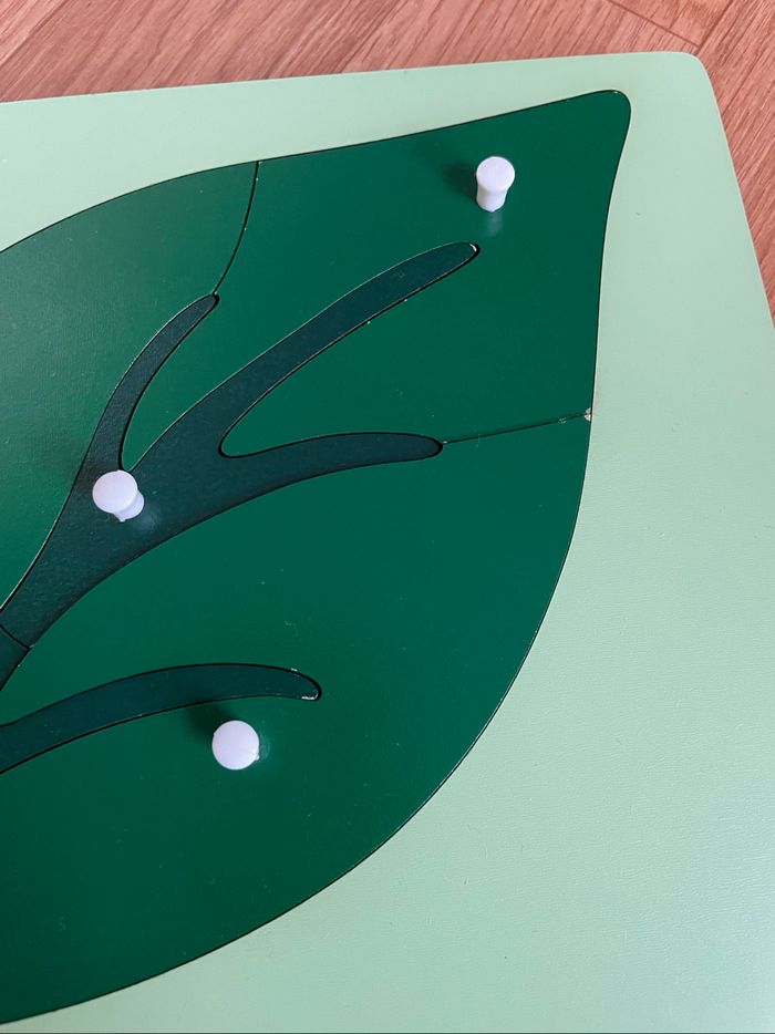 Puzzle Botanique Montessori : la feuille - photo numéro 4