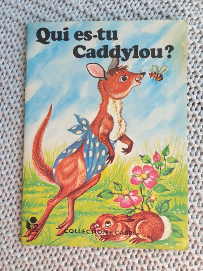 Qui es-tu Caddylou?