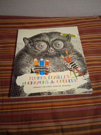 Plumes, écailles et crayons de couleur