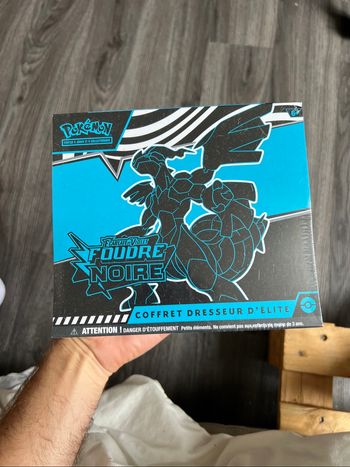 Etb foudre noir