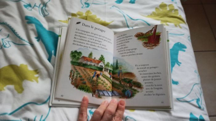 Livre Ma première encyclopédie A la ferme - photo numéro 5