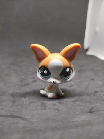 my Littlest Petshop Pet Shop Chihuahua Euro 2072 #geektradelpschien
