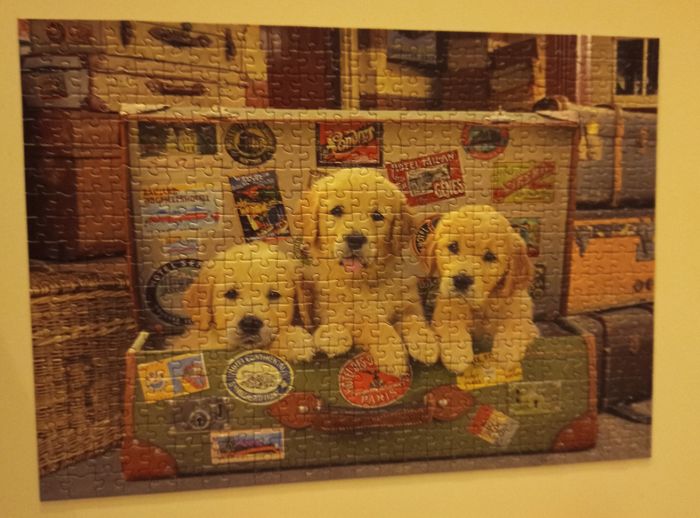 Puzzle 500p Des chiots dans les bagages - photo numéro 2