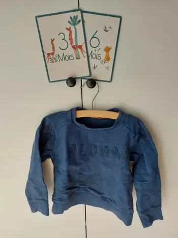 Sweat bleu Tao 3 ans