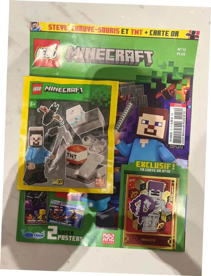 Lego polybags 662411 +magazine Minecraft