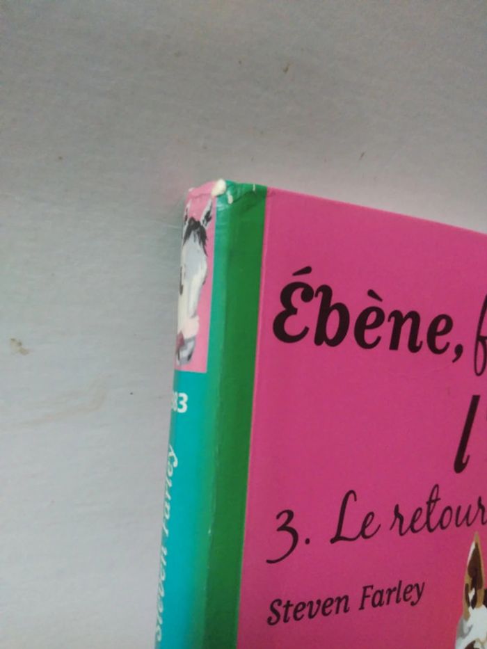 Ebéne fils de l'étalon noir tome 3 - photo numéro 4