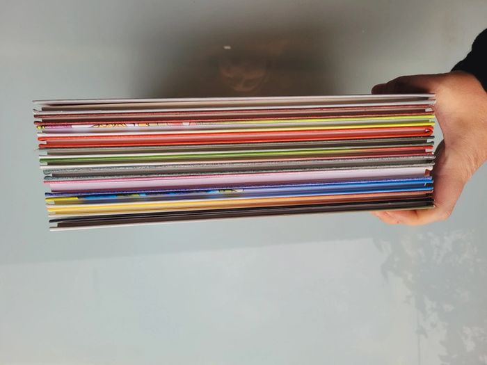 Les Bidochon : Tomes 3, 6, 8, 10, 11, 12, 13, 14, 16, 17 et 18 - photo numéro 5