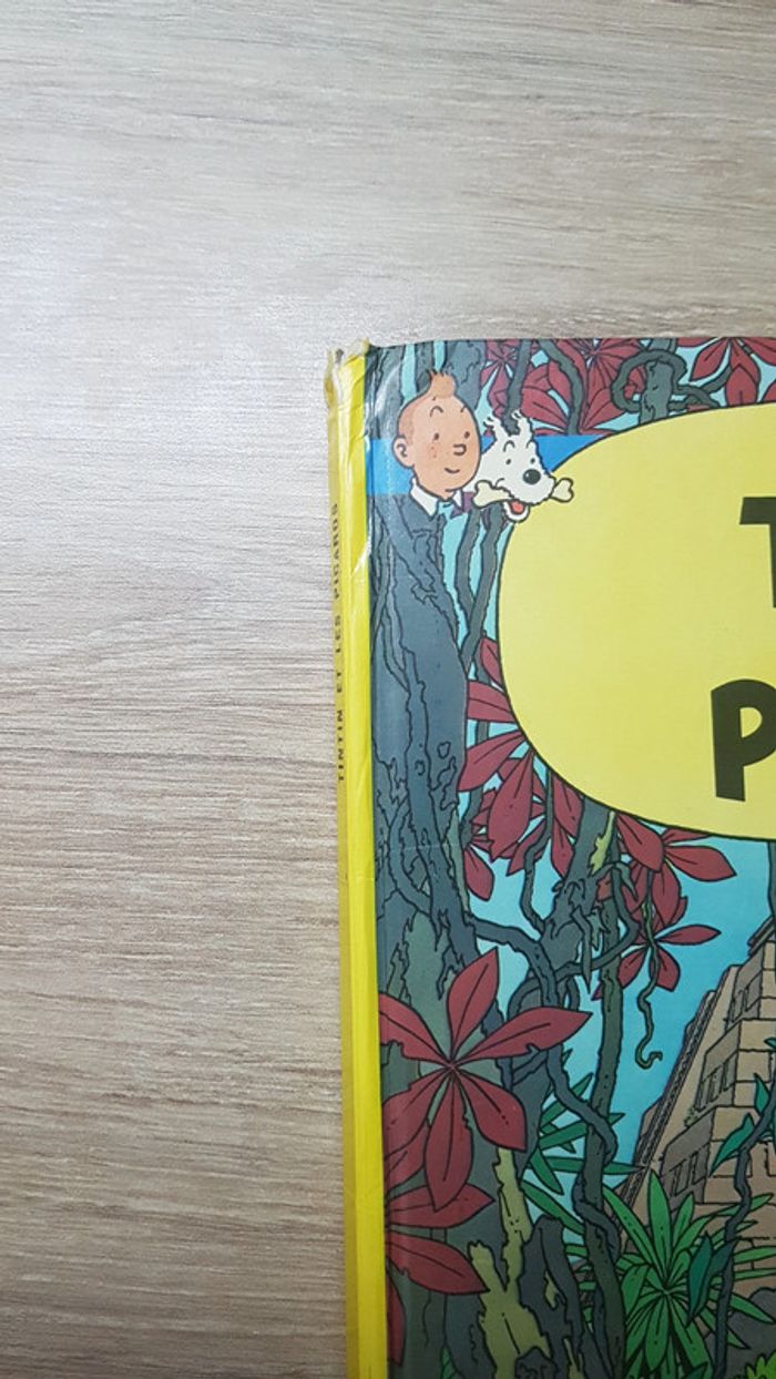 Tintin et les Picaros - photo numéro 6