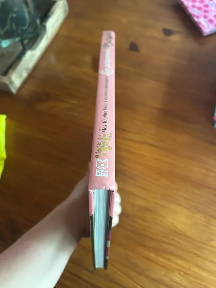 Lot de livres princesses - photo numéro 10