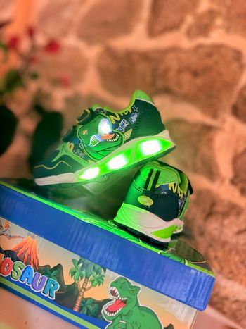 Basket dinosaures lumière 