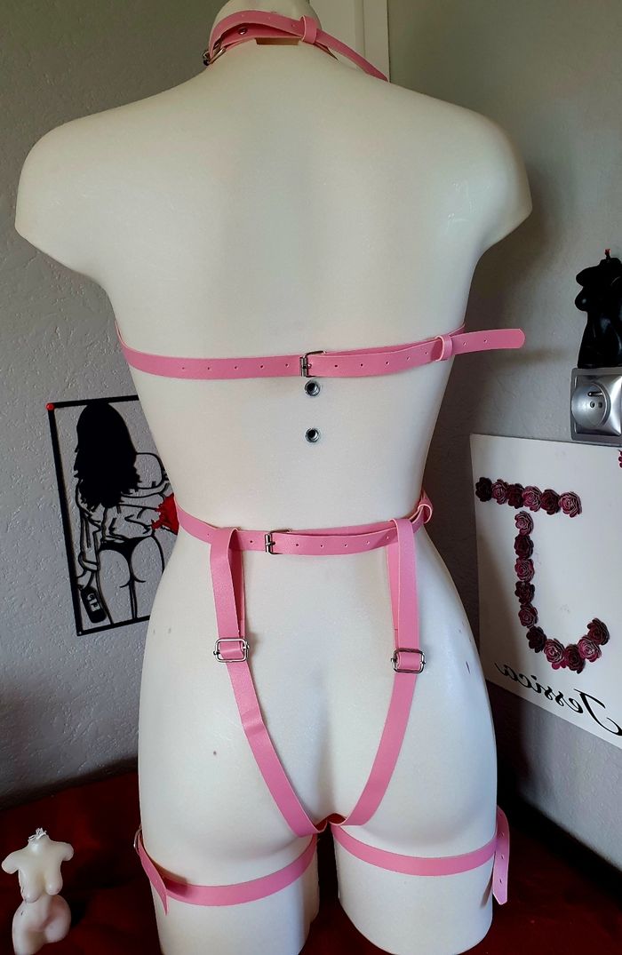 Ceinture de corps rose intégrale corset festival bondage bdsm costume - photo numéro 2