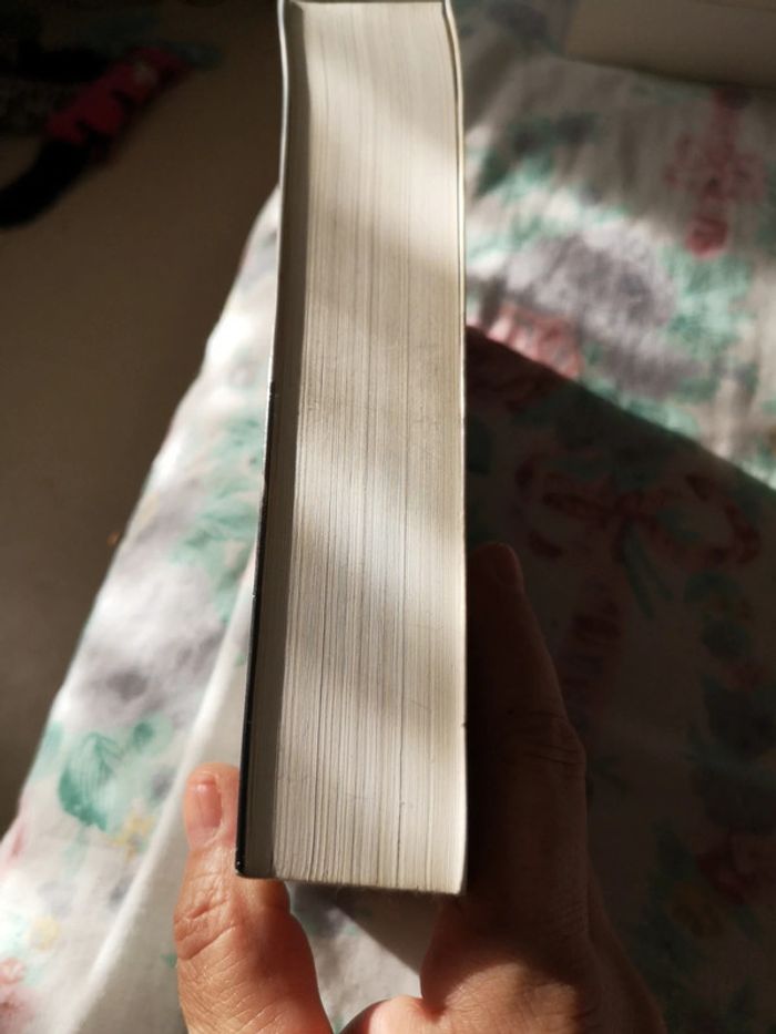 Assassin's creed - photo numéro 4