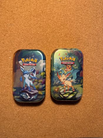 Lot 2 mini tins EV8.5  évolution, prismatique