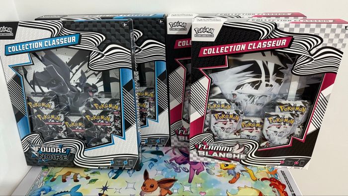 Coffret classeur ev10.5 blanc et noir