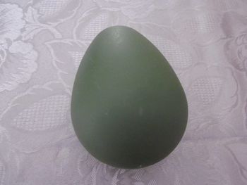 coque avocat