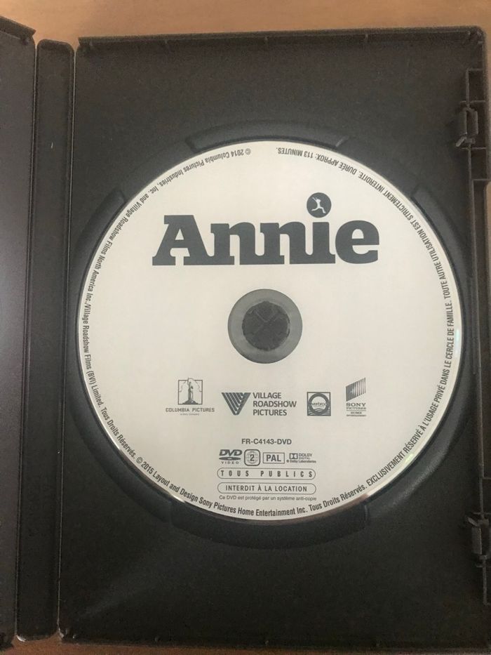 DVD Annie - photo numéro 2