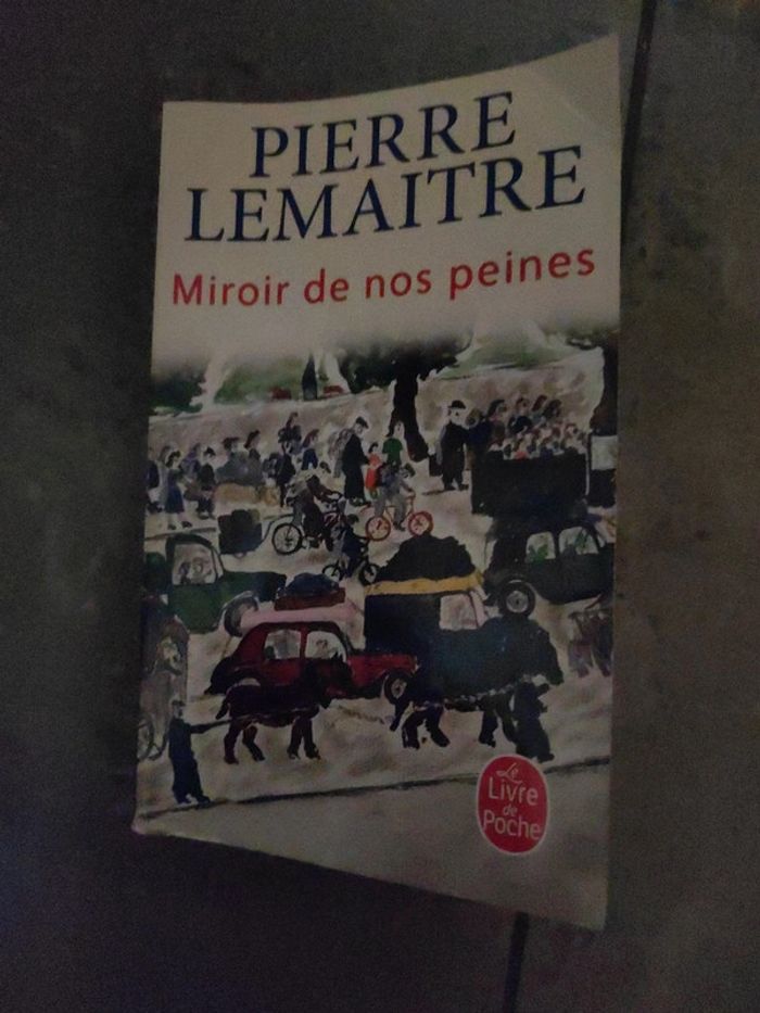 Miroir de nos peines