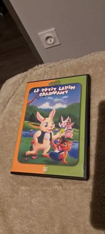 Dvd le petit lapin charmant 