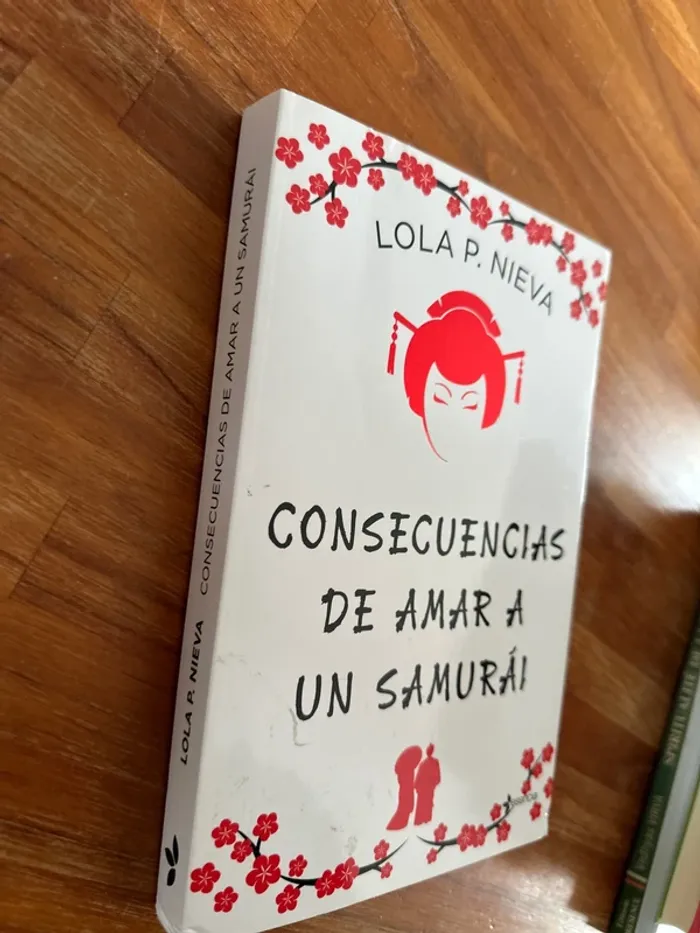 Livre consecuencias de amar a un samuraï - photo numéro 2