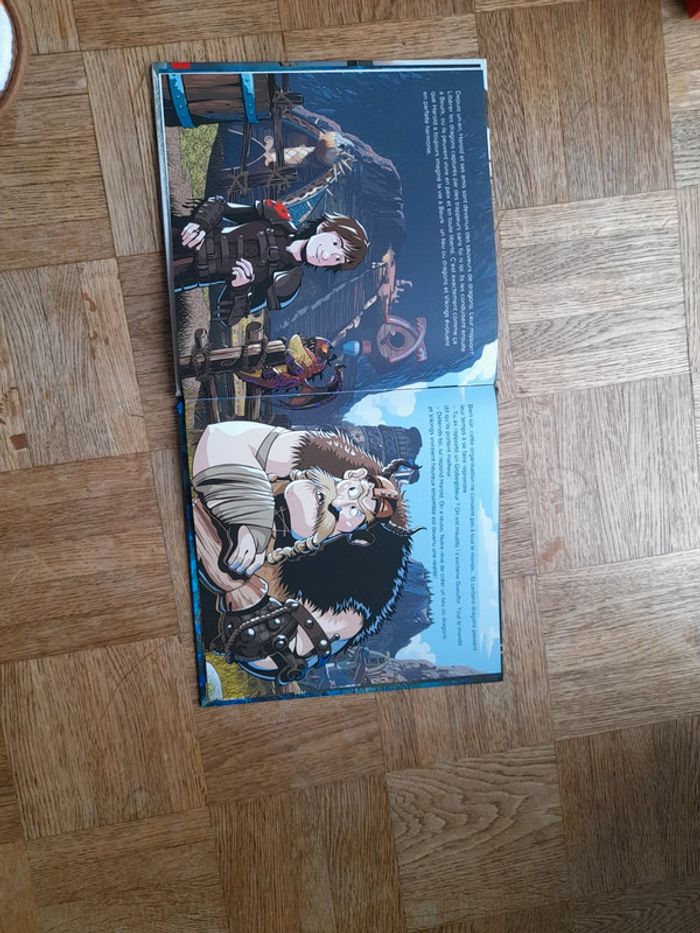 Livre dragon 3 - photo numéro 3