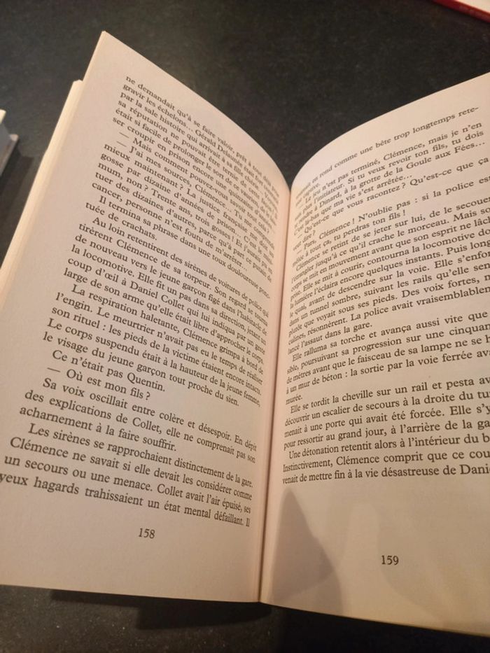 Livre Ravages de Lison Carpentier - photo numéro 3